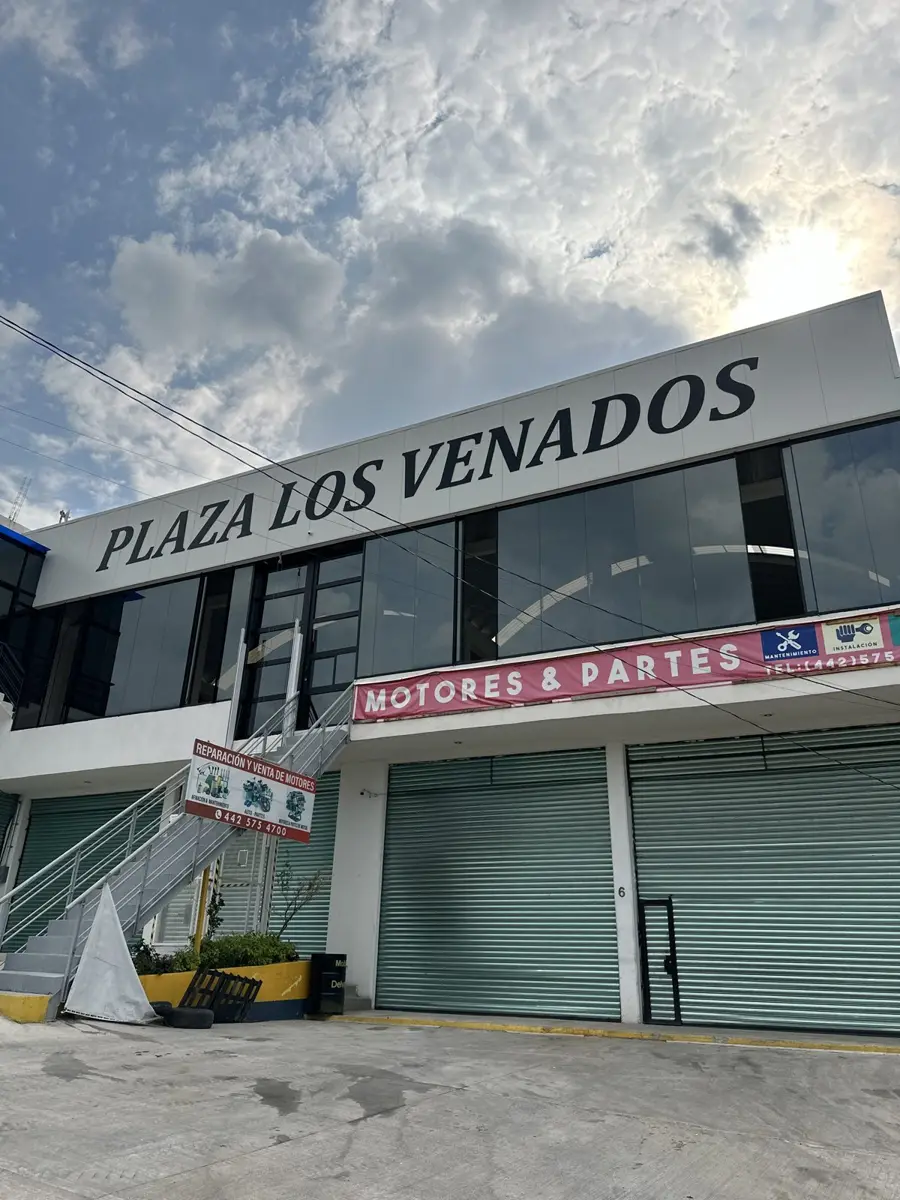 Letras en fachada para Plaza Los Venados
